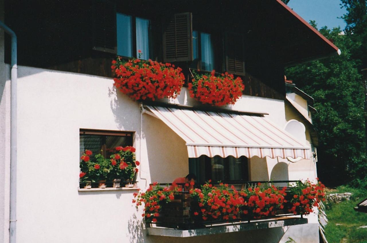 Ferienwohnung Zrm Center Idrija Exterior foto